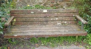 Benches: Diane Walshe