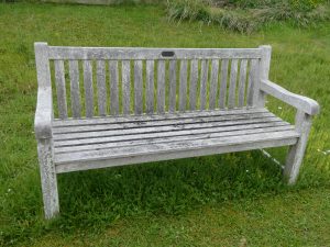 Benches: Betty Brown